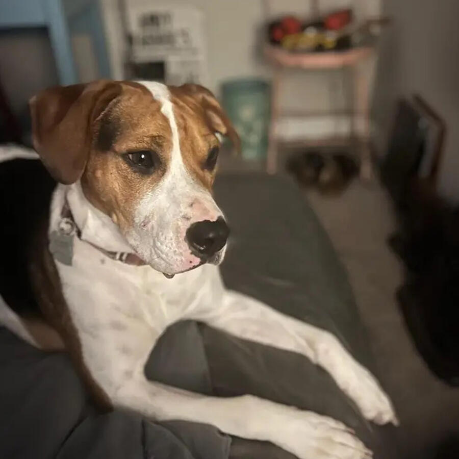 Susie