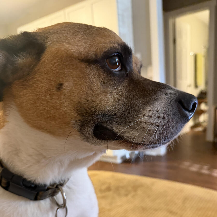 Cooper