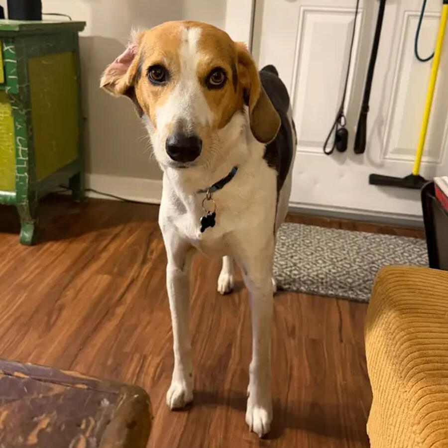 Nora
