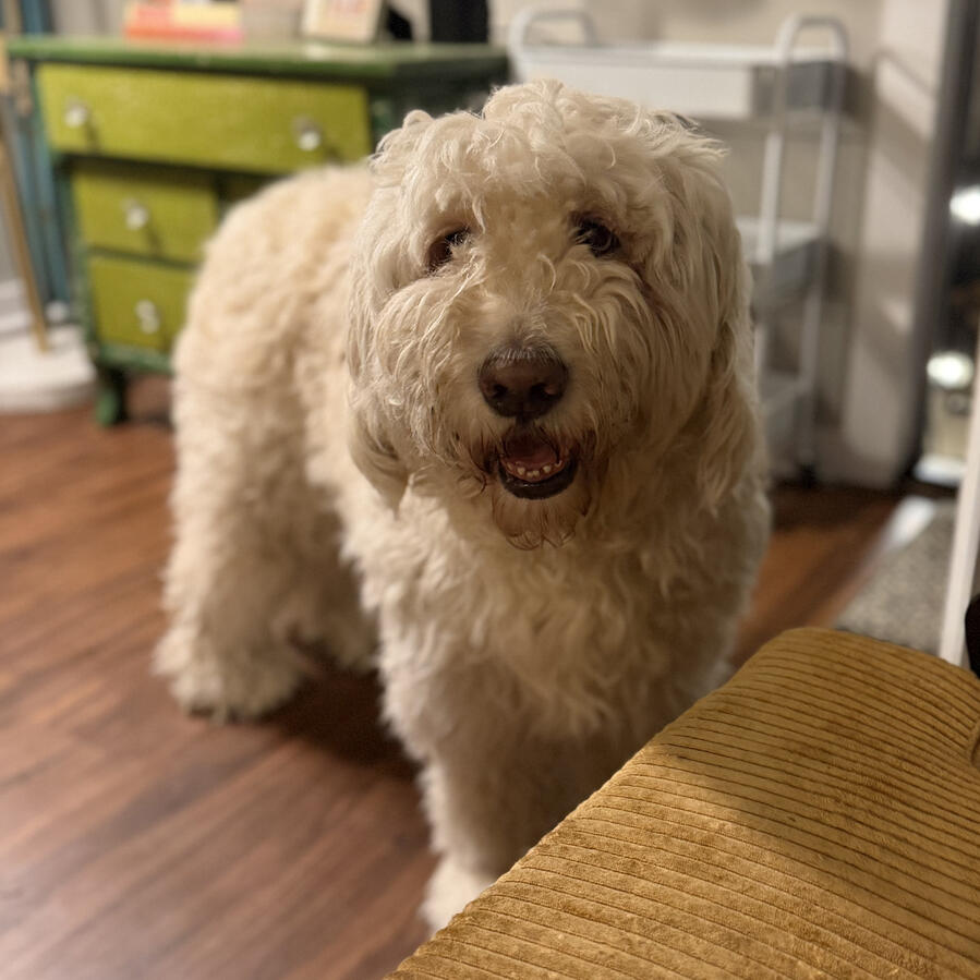 Tucker