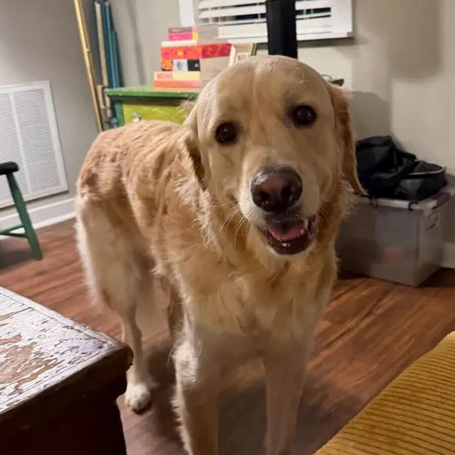 Milo